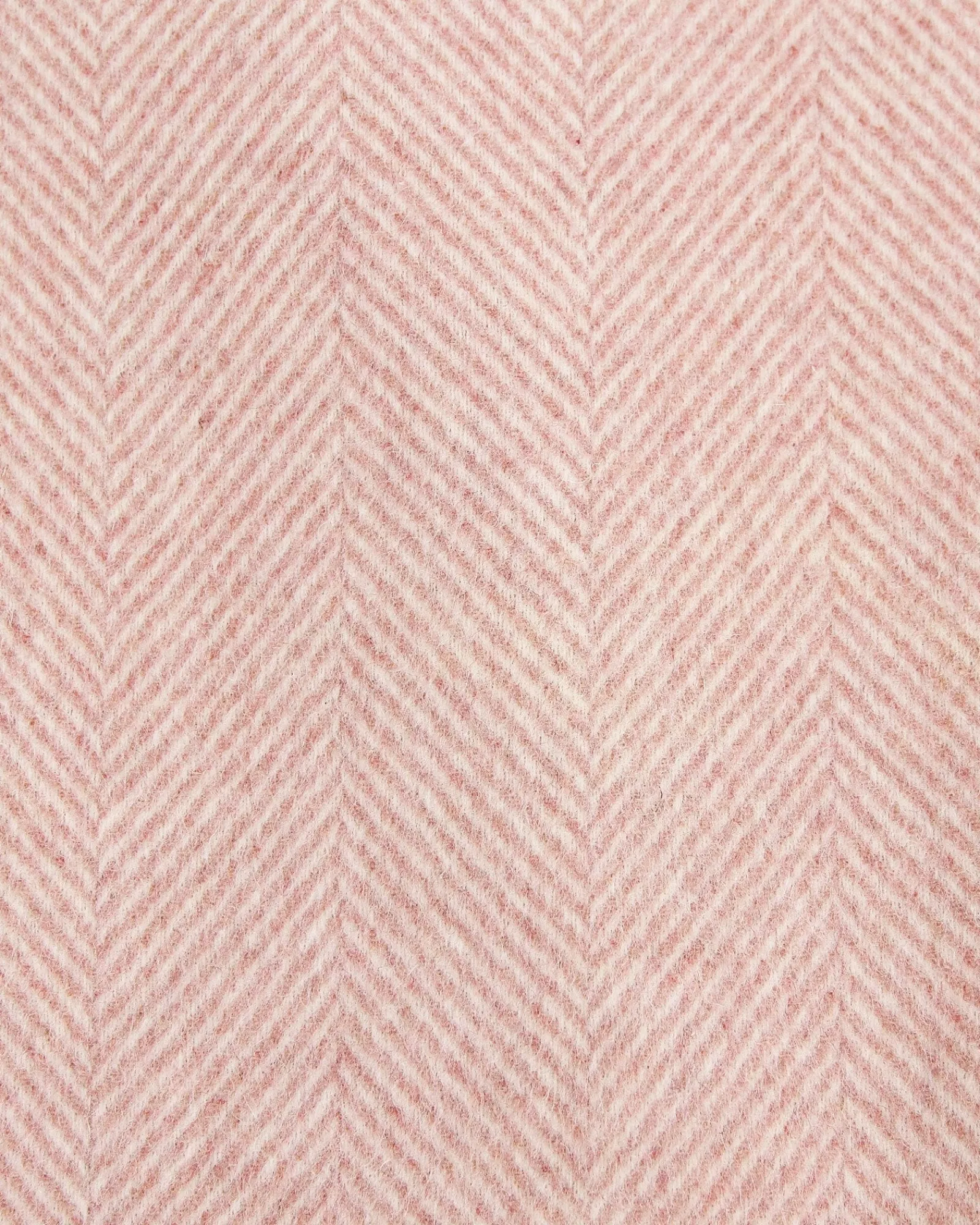 Online Belle & Bloom I'm Yours Wool Blend Peacoat - Blush